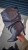 1000369426.jpg
